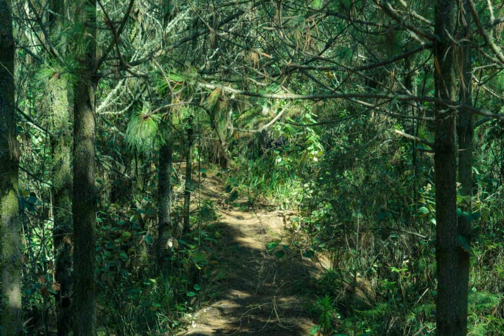 Acatenango Leave No Trace
