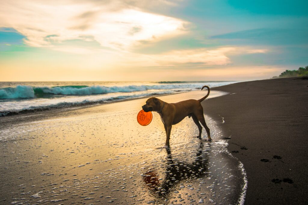 Guatemala beach - fun activities in guatemala
