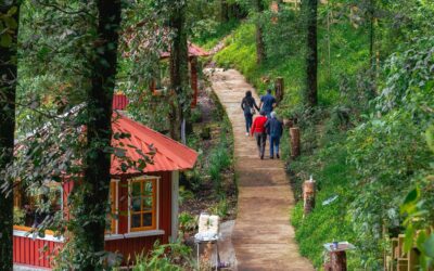 Rincon Suizo Tecpán Guatemala: A Peaceful Swiss-Style Retreat in the Highlands