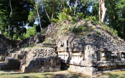 Exploring Naranjo Guatemala: A Hidden Maya City in the Jungle