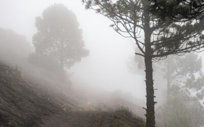 Acatenango Temperature: How Cold It Gets and the Best Time to Hike