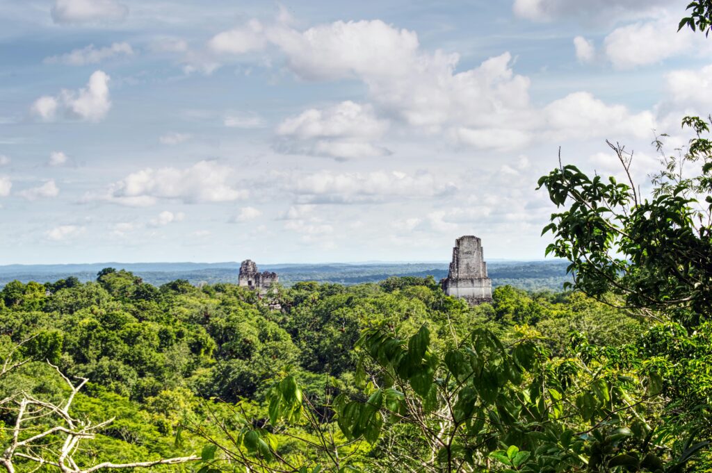 Guatemala wildlife - Tikal National Park