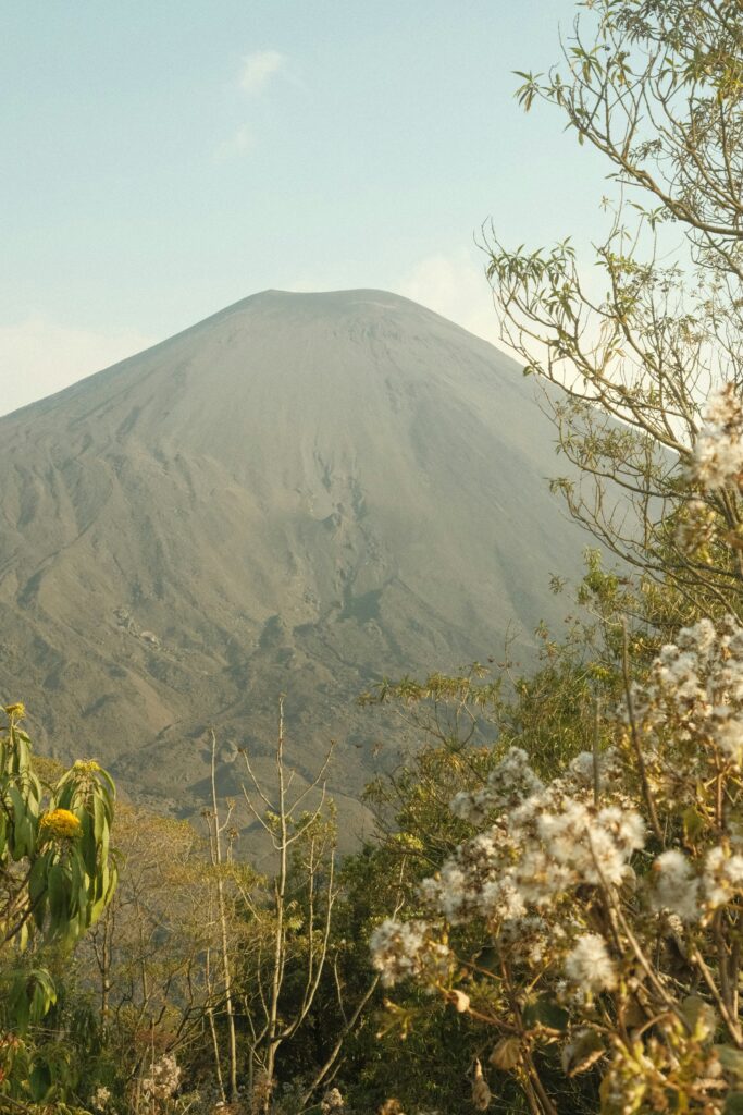 jungle trek Guatemala
